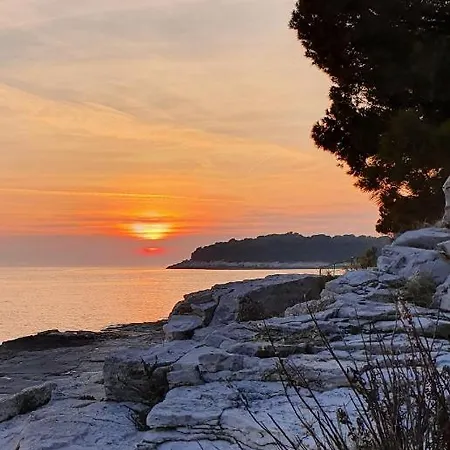 Apartment Amphitheater