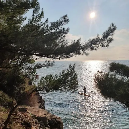 Amphitheater Apartment Pula