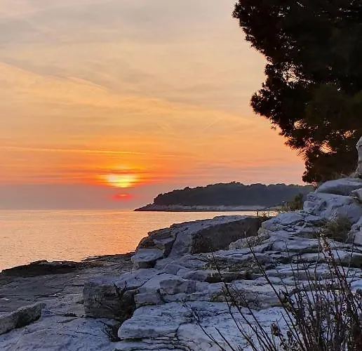 アパート Amphitheater