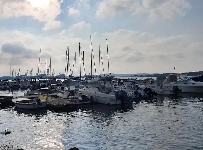 アパート Amphitheater *